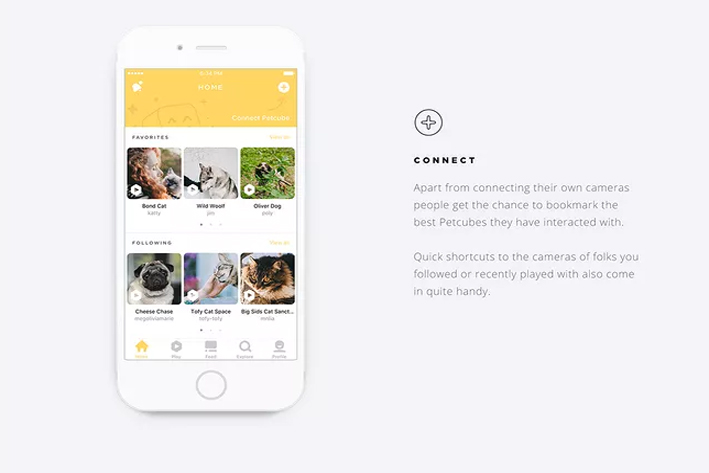 浅析宠物APP的市场需求以及发展方向