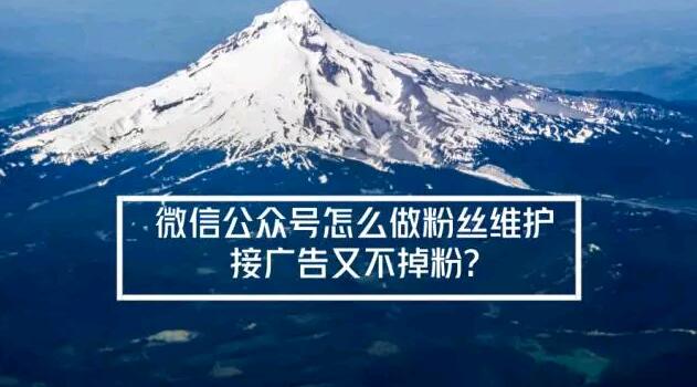 微信公众号怎么做粉丝维护与接广告又不掉粉?
