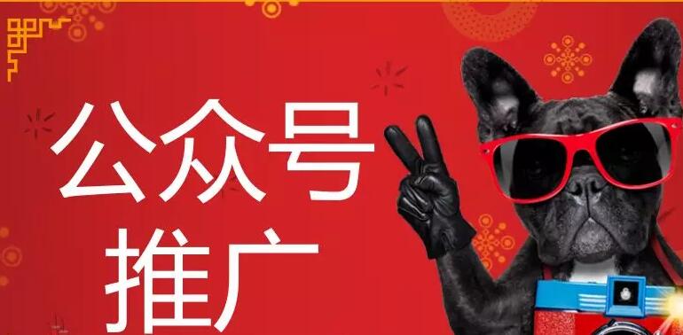 公众号怎么推广效果好？