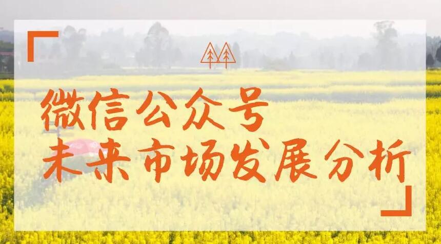 微信公众号未来市场发展分析