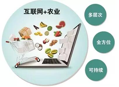 建设互联网农业 发展农产品电商