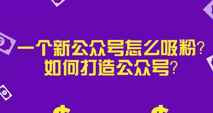 一个新公众号怎么吸粉？如何打造公众号？