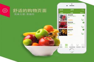 新零售生鲜电商App开发，更注重用户体验