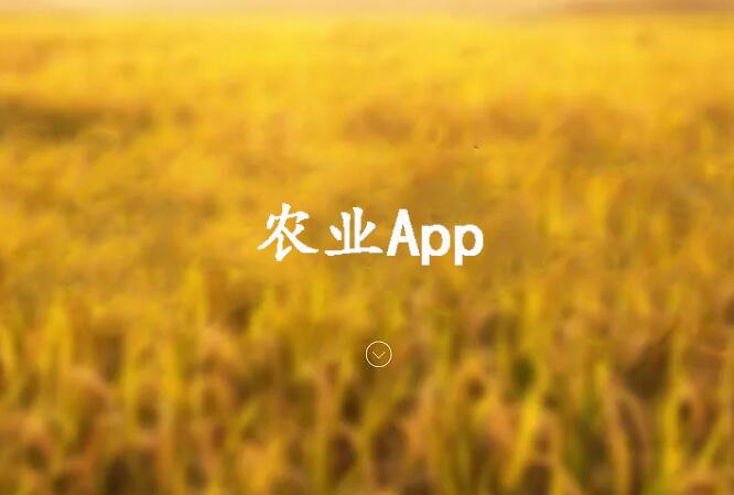 农业App开发方案