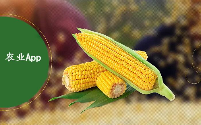 农业App开发原因