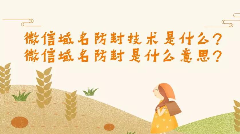 微信域名防封技术是什么?微信域名防封是什么意思?