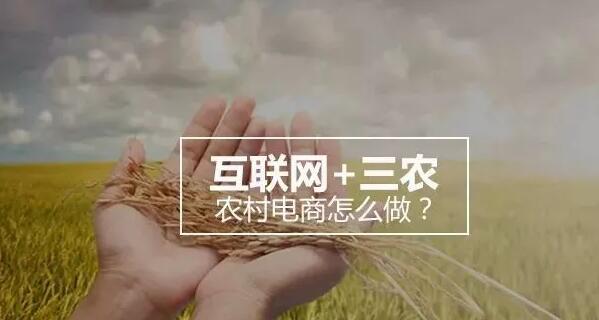 互联网+引领农村电商新方向