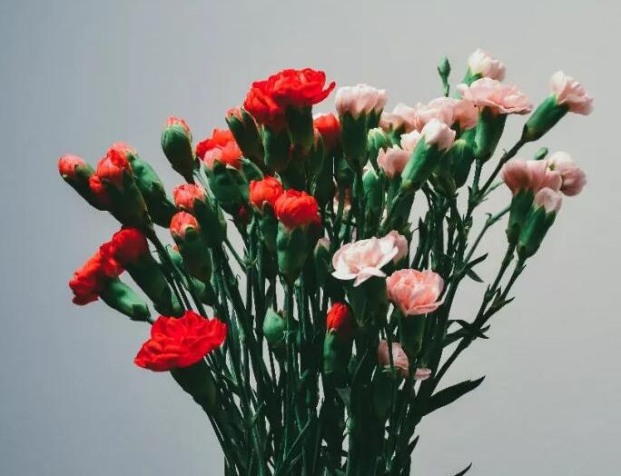 如何做好线下花店微信公众号运营和营销工作？