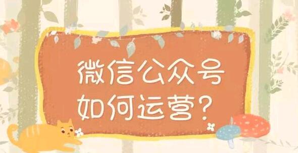 微信公众号如何运营？