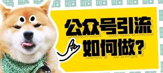 微信公众号引流如何做？